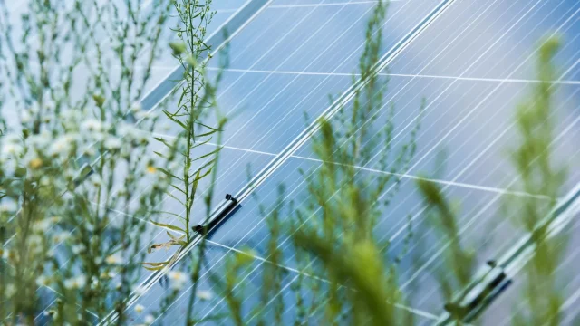Kartellezés miatt büntetett meg öt napelem-kivitelező céget a Gazdasági Versenyhivatal