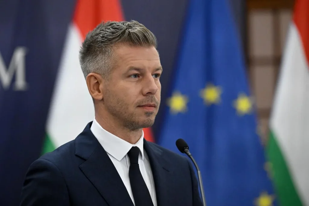 Magyar Péter és Andrej Babis négyszemközti tárgyalásával kezdődik az első cseh-magyar kormányülés Prágában.