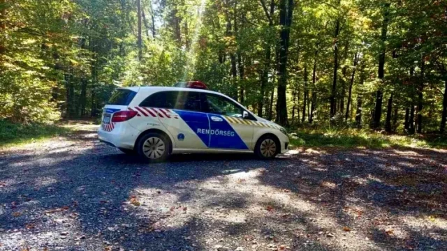 Sértetlenül találtak meg egy 92 éves gombászót az apátistvánfalvai erdőben