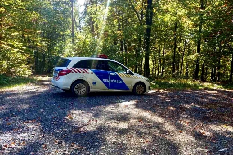 Sértetlenül találtak meg egy 92 éves gombászót az apátistvánfalvai erdőben