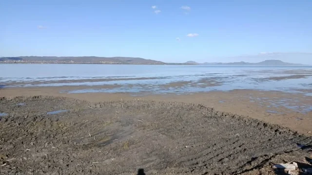 Természetkárosítás Balatonberényben: elpusztították a védett nádast